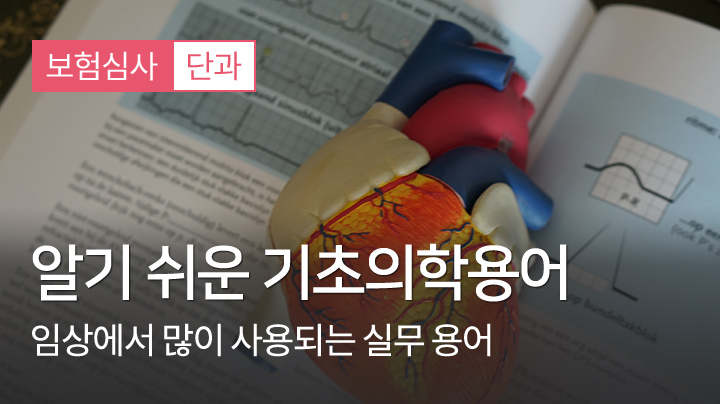 샘플 영상 임시 이미지