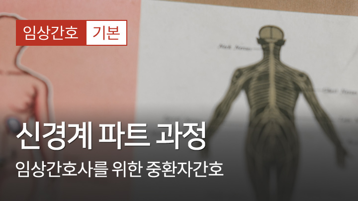 신경계 과정