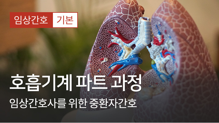 호흡기계 과정