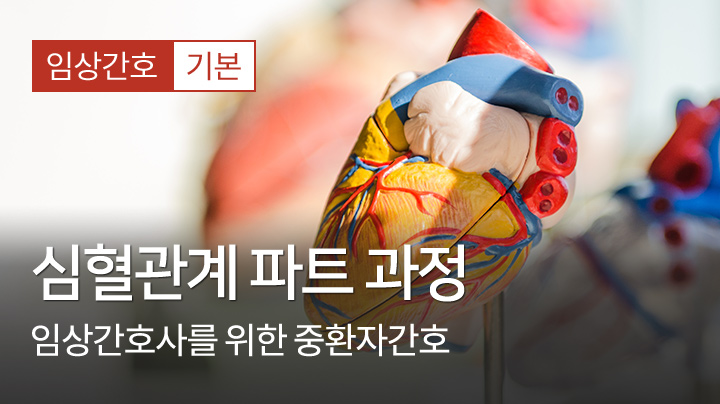 심혈관계 과정